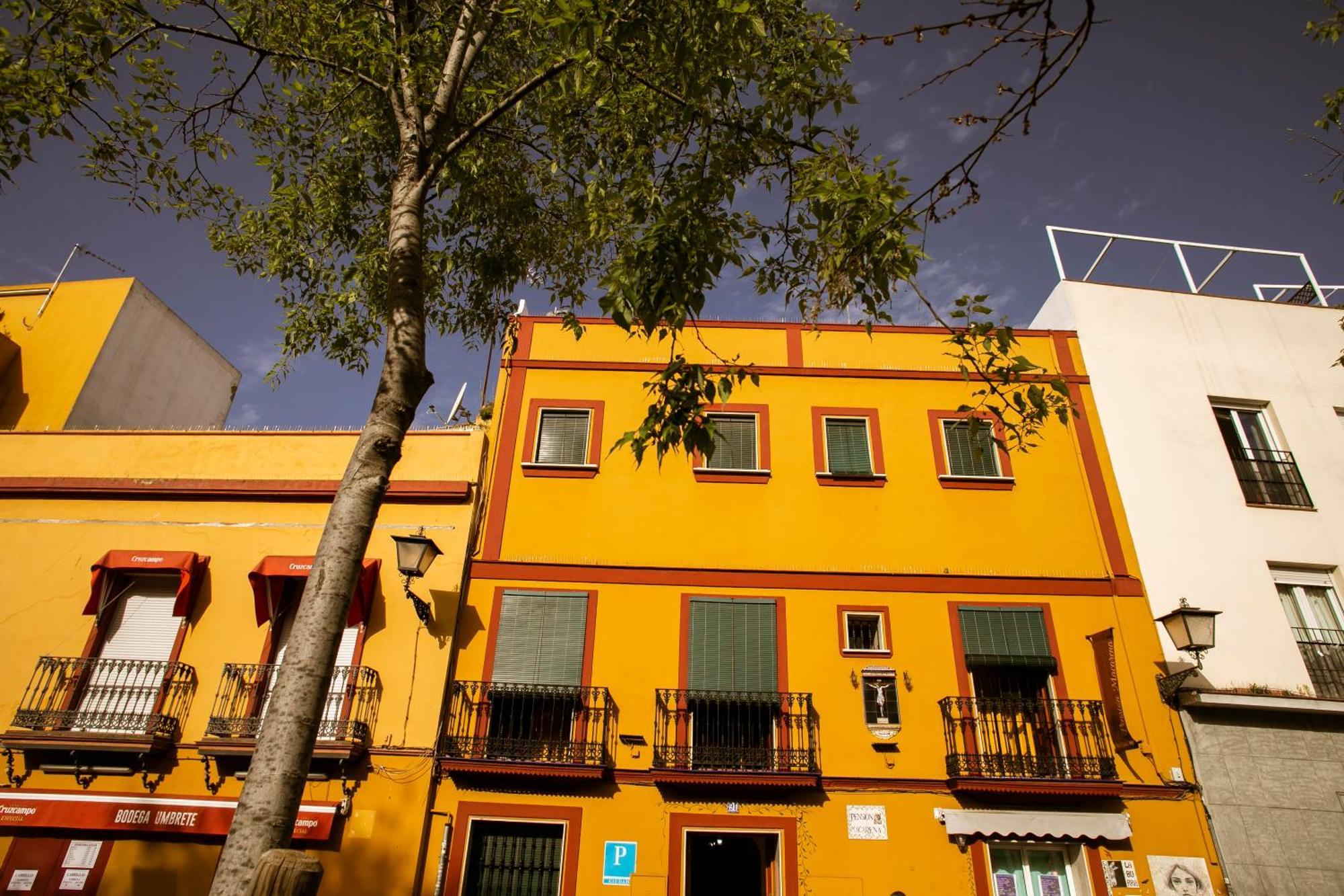 Pension Macarena Sevilla Dış mekan fotoğraf